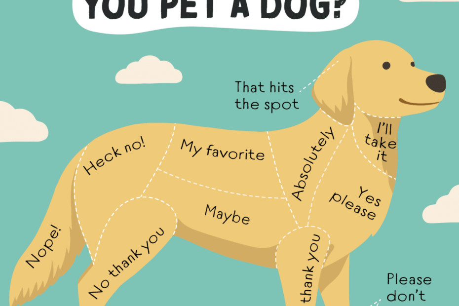 How To Pet A Dog And How To Tell When You Shouldn'T