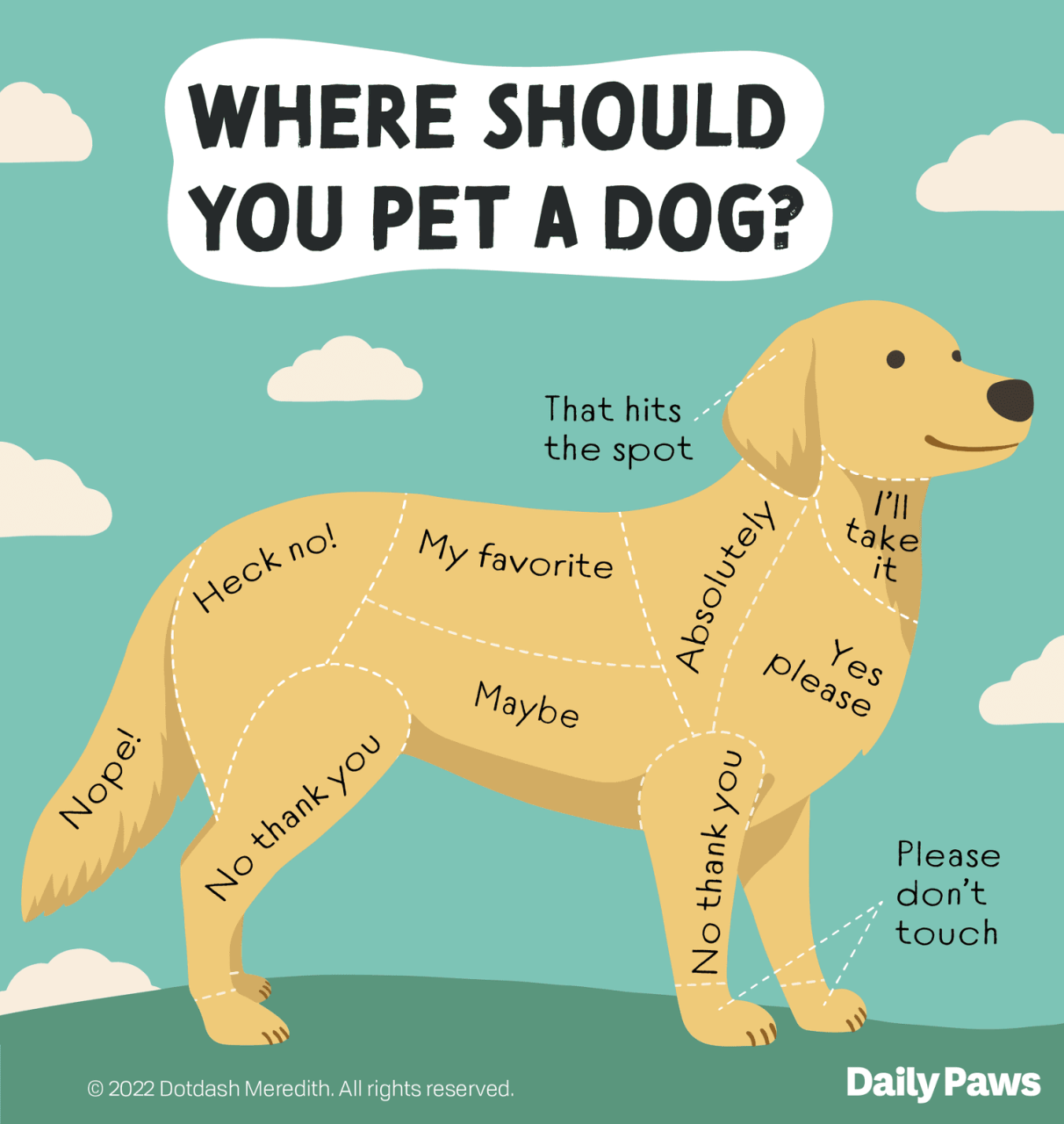 How To Pet A Dog And How To Tell When You Shouldn'T