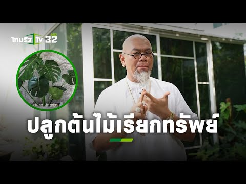 เคล็ดลับต้นไม้เรียกทรัพย์ ปลูกแล้วรวย!! : ซินแสเป็นหนึ่ง l แม่ว่าได้ | ThairathTV