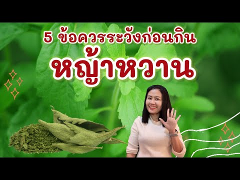 รู้หรือไม่? 5 ข้อควรระวังก่อนกินหญ้าหวาน! @moraeythaiherb