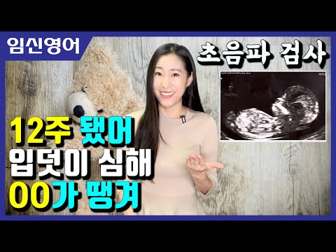 임신영어 #1 임신, 임산부, 입덧 관련 영어표현 총정리ㅣ생활영어 영어회화