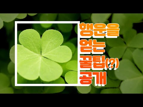 [별별세계 별별차트] 세계 이색적인 행운의 상징 TOP4!