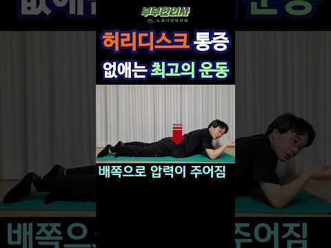 240. 허리디스크 통증 없애는 최고의 허리 운동ㅣft 부부한의사