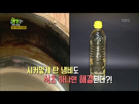 2tv 저녁 생생정보 - 똑똑한 물음표, 살림 고수들의 식초 활용법 1.20160308