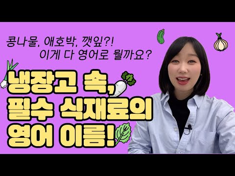 🥬매일 보이는 냉장고속 식재료들이 영어로 궁금하다!🍆 고수영어로? 콩나물 영어로? | 영어단어