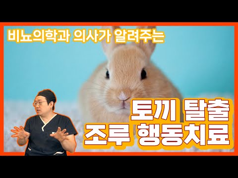 시간 확실히 늘어나는 조루 해소 방법 3가지