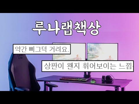 비싸면좋다고? 게이밍책상 루나랩 - 역시 까드림