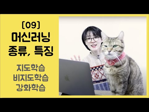 [09] 머신러닝의 종류와 특징 - 지도학습, 비지도학습, 강화학습