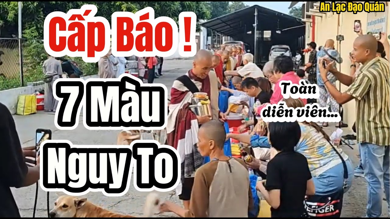 Cú Lố Lăng Lịch Sử! Tú Bịp và Đám 7 Màu Tự Diễn Tới Tận Đáy Vô Minh