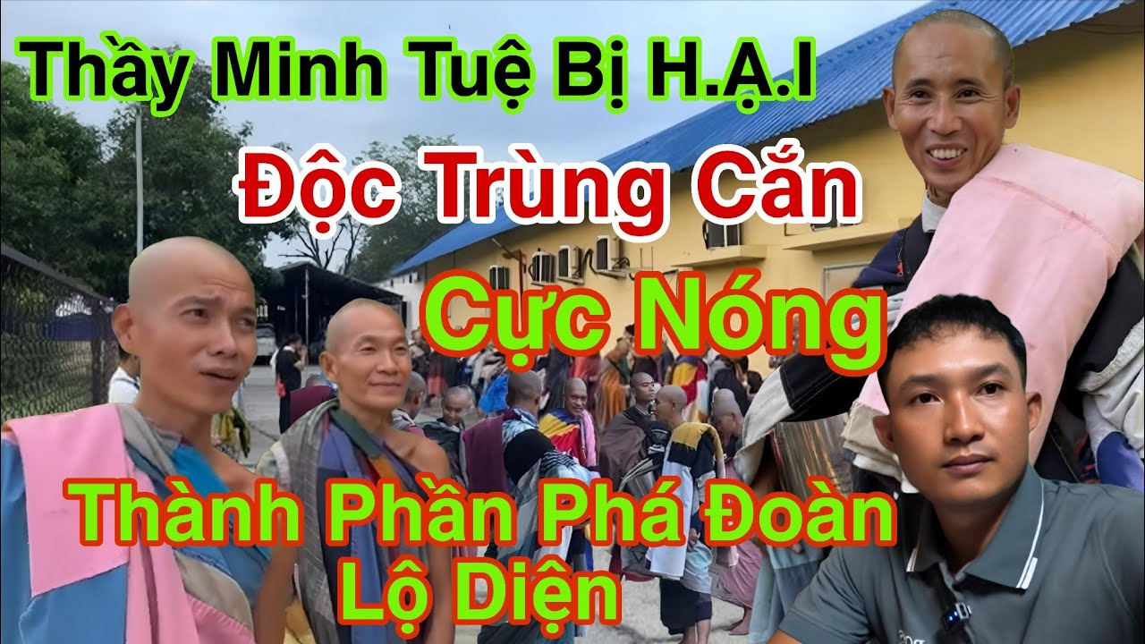 Thầy Minh Tuệ Bị H.Ạ.I Độc Trùng Cắn Thành Phần Phá Đoàn Lộ Diện